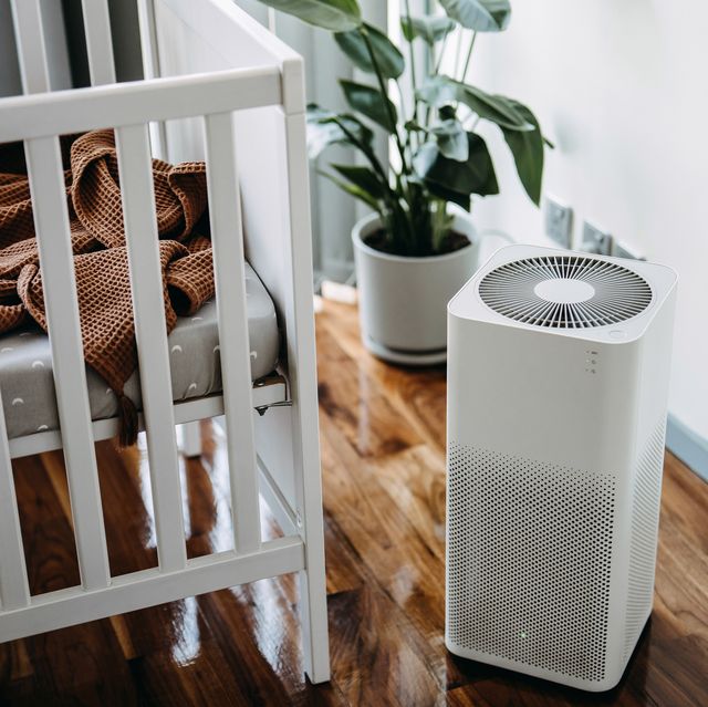 Myth: Air Purifiers Only Help with Allergies: