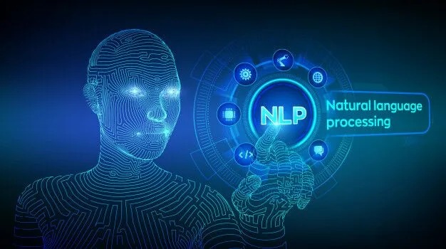 Features of NLPL